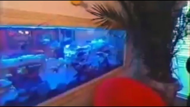 Mtv Cribes JACKIE CHAN , Lil Romeo , Fat Joe , Ludacris , SNOOP DOGG