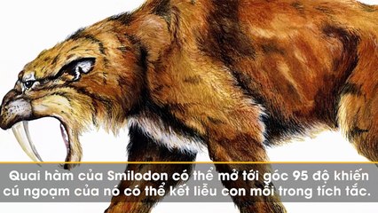 10 “ác quỷ” thời tiền sử khiến con người mừng thầm vì chúng đã biến mất