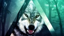 Значение тату волка - для девушек и парней - Волк воющий на луну, Стая волков-L1pxETyn_R4