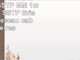 1aTTack 10m 2x RJ45 Cat6 SFTP SSTP MM 1m Cat6 SFTP SSTP Gris câble de réseau