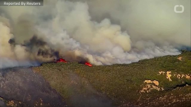 Firefighters Gain Edge On Wildfires As Winds Weaker Than Expected