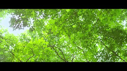 Tere Siva - Darshan Raval - Official Music Video 2016