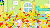 Dolly and friends New Cartoon For Kids S02e107