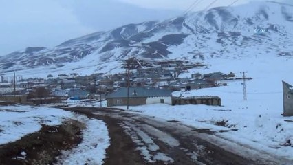 Hindileri Tilkilerden Korumak İçin Kardan Adamlar Yaptı