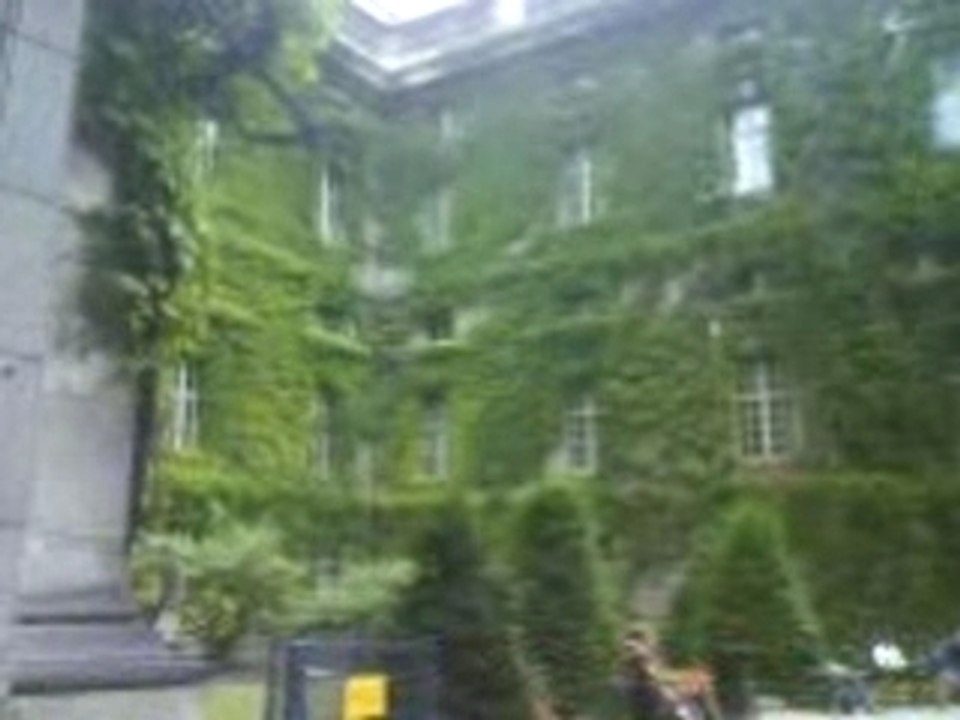 Biblioteca de berlin