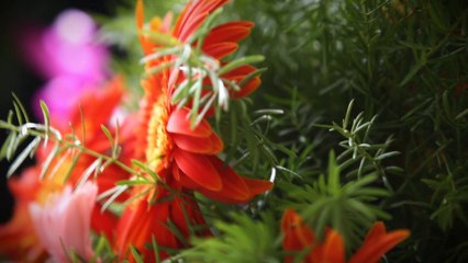 Aliens Group - Flat handover to Mrs.Surekha.B