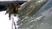 Ce chat adore la neige... Plutot inhabituel mais adorable