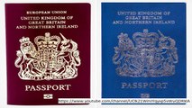 Uncovered: UK will get back 'notorious' BLUE international IDs after Brexit