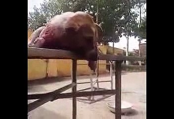 NHÂN QUẢ BÁO ỨNG TƠ HÀO KHÔNG SAI  NAM MÔ A DI ĐÀ PHẬT