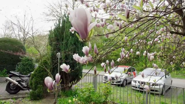 Citizen science fights air pollution | DW English
