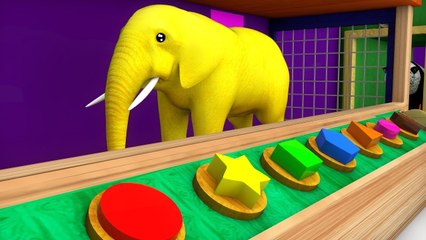 Learn Color Learn Shapes Cow Bear Animals W Cartoon Nursery Rhymes for Children