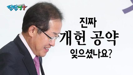 [팔팔영상] "홍준표 대표님, 개헌 대선공약 기억하시나요?" / YTN