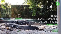 Ce fou se baigne avec 2 crocodiles dans sa piscine !