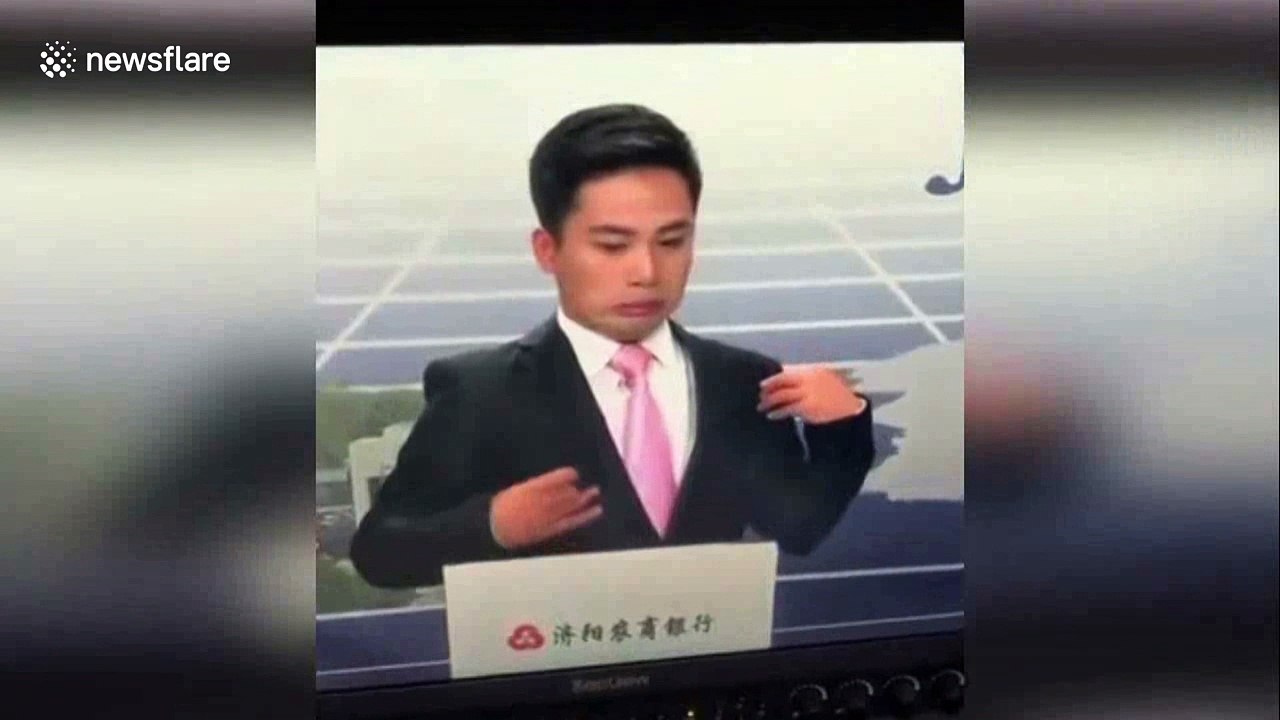 Television anchor freaks out when attacked by bee in studio