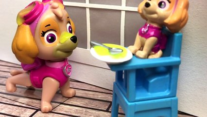Baby Paw Patrol Baby Food Skye and Chase Plan 1st First Birthday Party