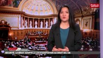 adaptation dans le domaine de la sécurité au - Les matins du Sénat (22/12/2017)