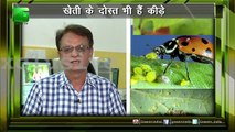 MitraKeet / Beneficial insects - खेती के दोस्त भी है कीड़े