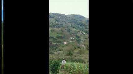 Çarşıbaşı Çallı Köyü