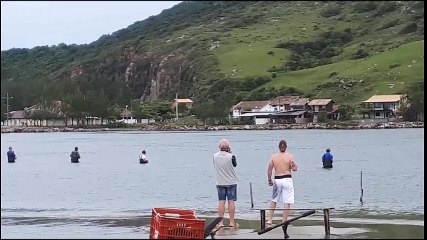 Pêche avec les dauphins