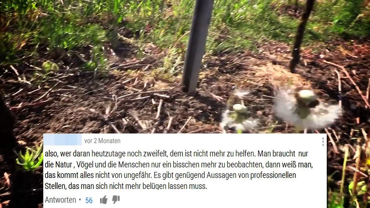 Chemtrails - Die Wahrheit [Teil 1]  - Tommys lehrreiche Lehrfilme (Reuploads)