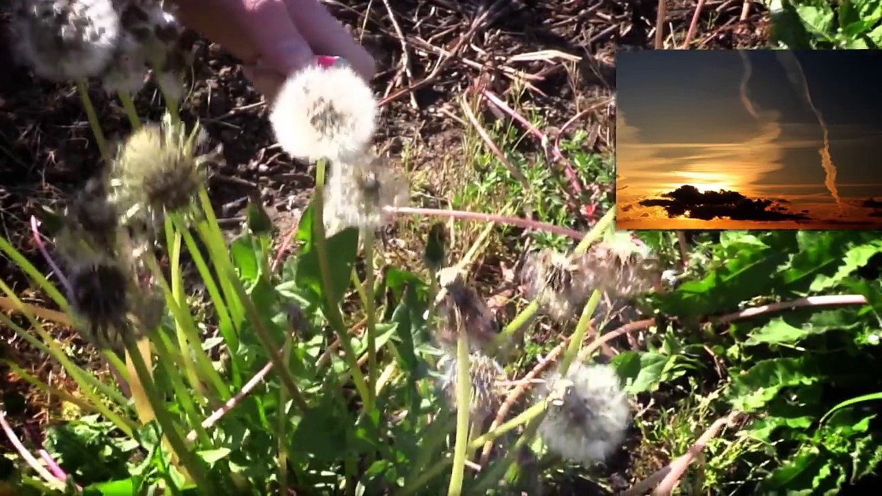 Chemtrails & Geo-Engineering - Die Wahrheit [Teil 2] - Tommys lehrreiche Lehrfilme (Reupload)
