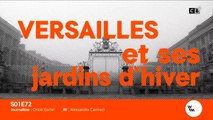 Versailles et ses jardins d'hiver