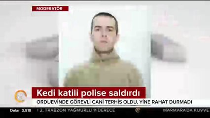 Kediyi tekmeleyip acımasızca öldürmüştü, bu kez polise saldırdı