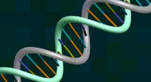 Revolução na leitura do DNA: chip faz o teste na hora, e a um custo bem baixo