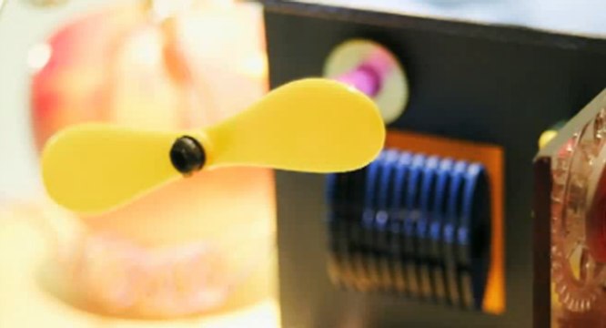 As novidades da FEBRACE, a maior feira de ciências do Brasil