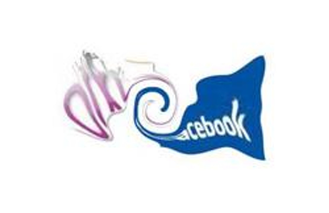 Orkut e Facebook: muito mais que simples redes sociais