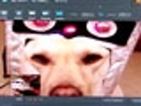 Programas online e gratuitos para editar fotos