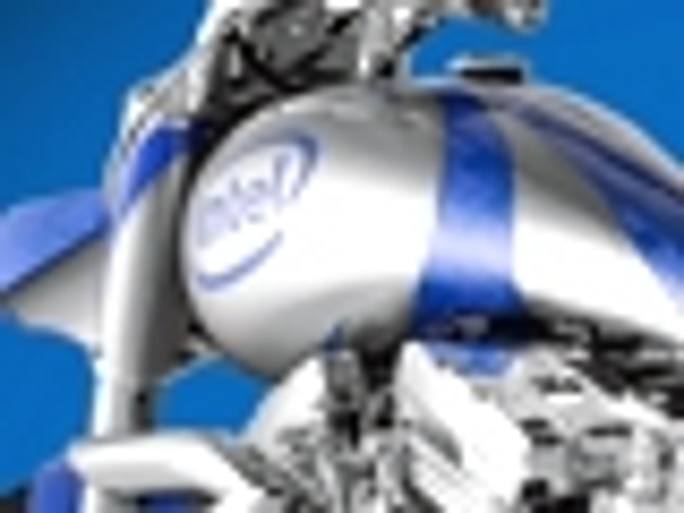 Intel Flex