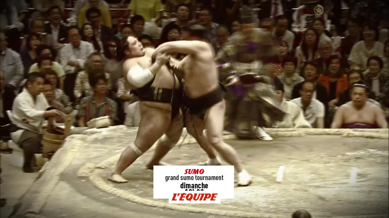 OMNISPORTS - Semaine Force : Sumo, Haltérophilie, Boxe, bande annonce