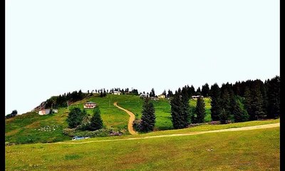 Çarşıbaşı Kovanlı Köyü