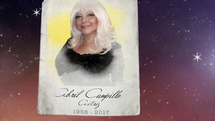 La estrellas que nos iluminarán para siempre ¦ In Memoriam 2017[4]