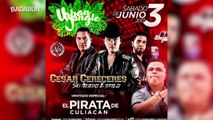 5 Datos desgarradores del Pirata de Culiacán