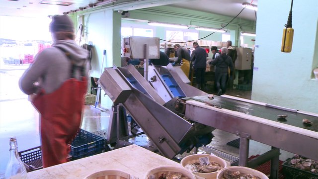 JT breton du vendredi 22 décembre 2017 : bio, les huîtres !