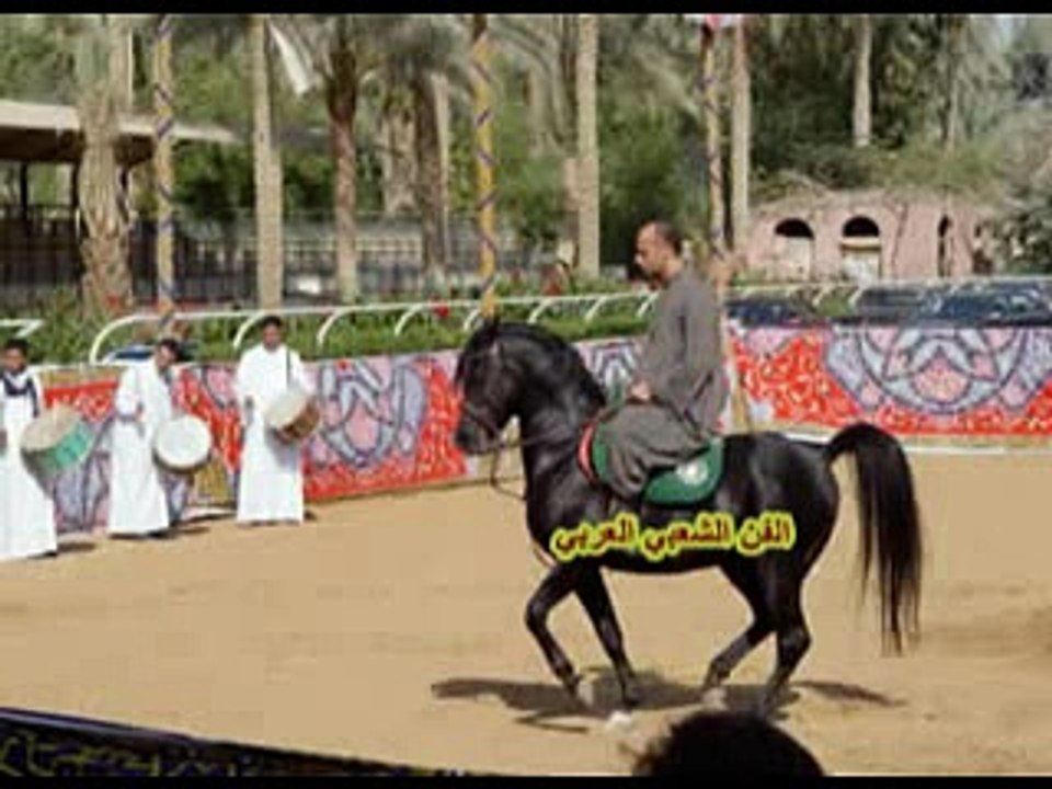 جديد  2018ولد القابسية عزيز على أمه