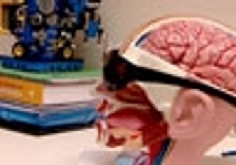 Jovens e a Tecnologia