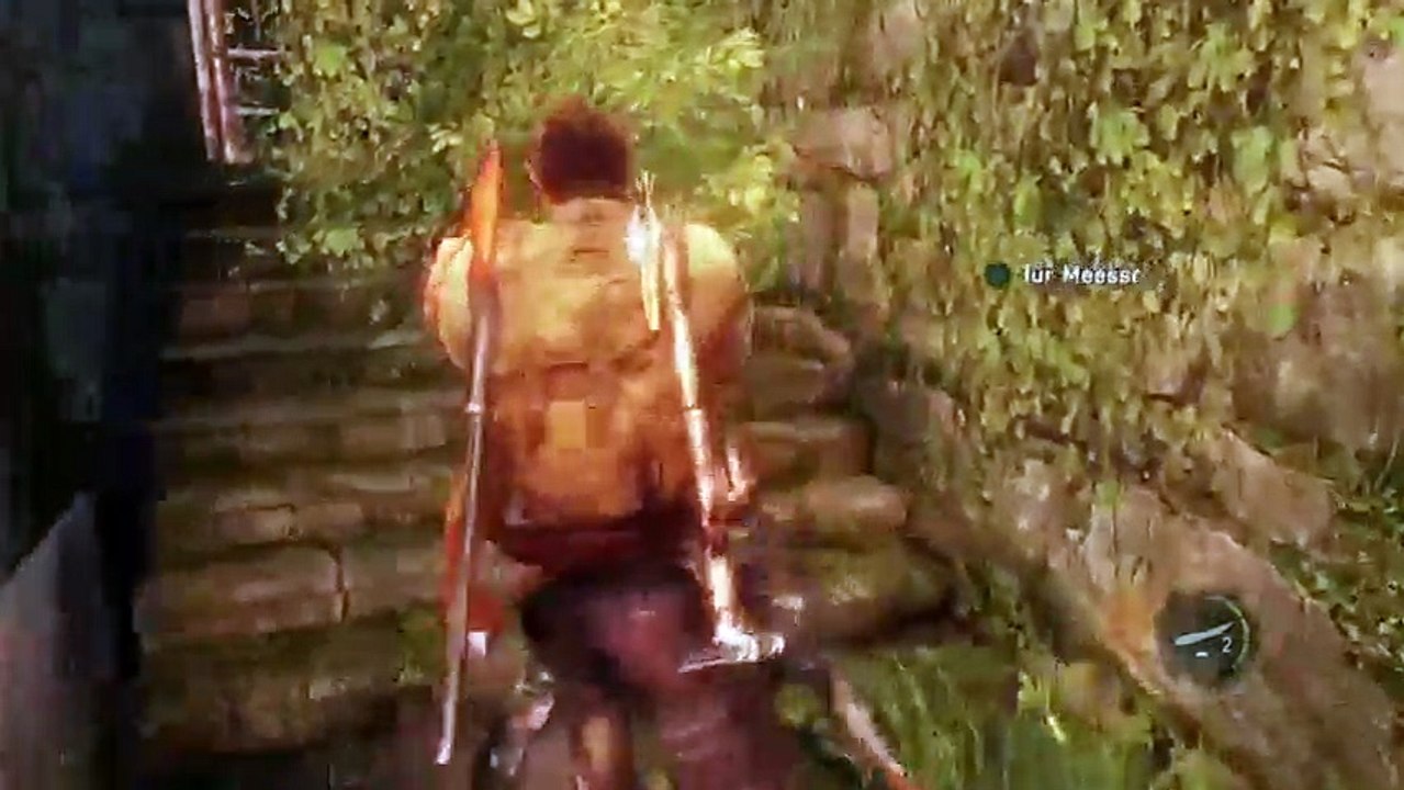 The last of us 9 (365)