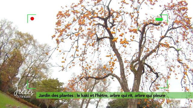 Folies Botaniques au Jardin des plantes #4