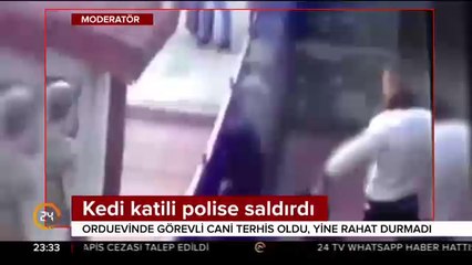 Kedi katili polise saldırdı
