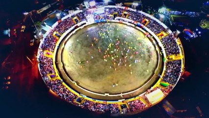 Toros Teletica 2017