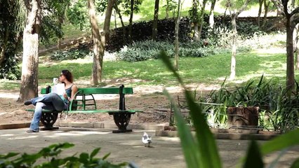 RED- Season 1 Episode 2 - The Red color (A Cor Vermelha)