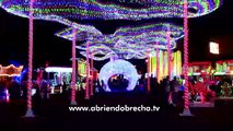 Luces de navidad adornan calles de Tegucigalpa