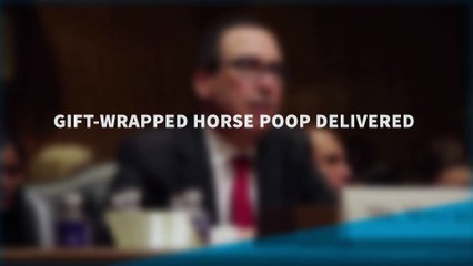 Gift-Wrapped Horse Poop Delivered to Mnuchin's Residence