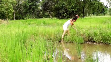 eautiful Girl Fishing - Amazing Fishing at Battambang - How To catch fish by hand(33)_