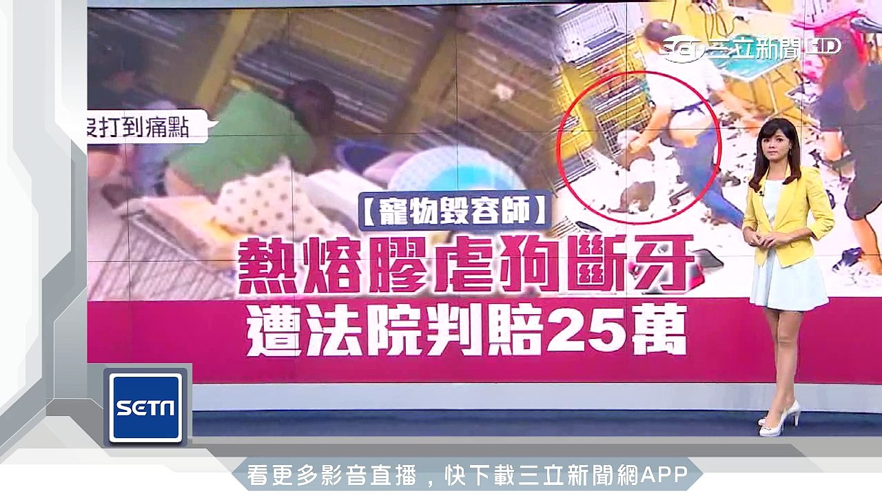 惡劣！寵物美容師熱熔膠虐狗　判賠25萬｜三立新聞台