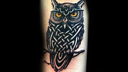 30 Celtic Owl Tattoos Tattoos For Men-4idAoyhjjEY