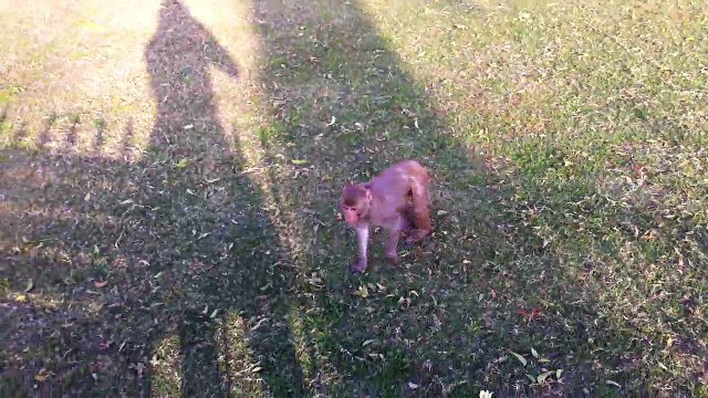 Agra Fort | Best Monuments in India